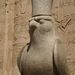2007_egypttrip041